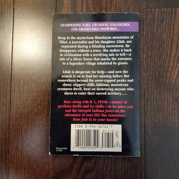 R.L. Stine book - Picture 2 of 2